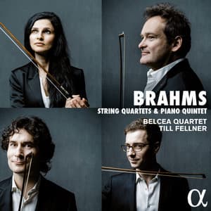 Brahms: String Quartets & Piano Quintet - Johannes Brahms