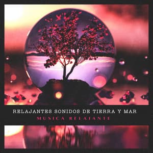 Relajantes sonidos de tierra y mar - Música Relajante