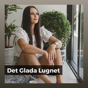 Det Glada Lugnet - Avslappnande Meditation Akademi