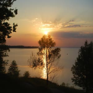 ! ! ! ! Warm Evenings - Relaxing Music