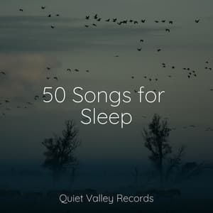 50 Songs for Sleep - Pro Sound Effects Library