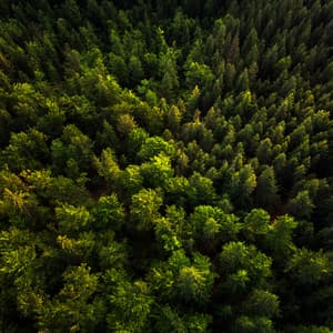 My Home - Entspannings und Schlaf Musik