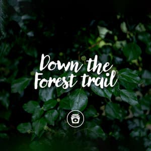 Down The Forest Trail - Sounds Of Nature