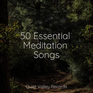 50 Essential Meditation Songs - Binaural Beats Brainwave Entrainment