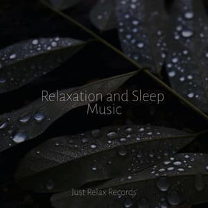 Relaxation and Sleep Music - Alpha Waves