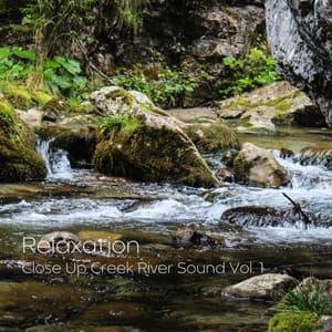 Relaxation: Close Up Creek River Sound Vol. 1 - Sounds of Nature Relaxation