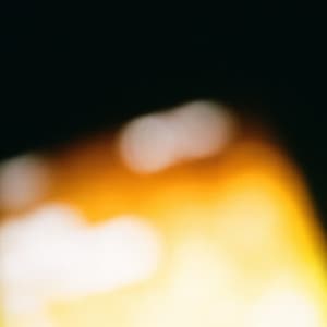 Le silence sous l'écorce - House of Echo