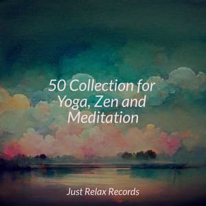 50 Collection for Yoga, Zen and Meditation - Study Hard