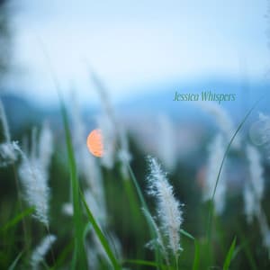 A Meadow Stilled in Breath - Jessica Whispers