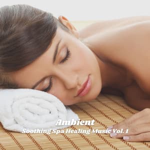 Ambient: Soothing Spa Healing Music Vol. 1 - Relaxing Asian Spa Music