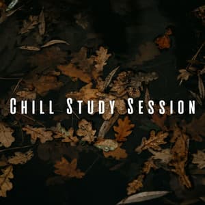 Chill Study Session: Rain Beats with Relaxing Sounds - Relaxing Study Music Project
