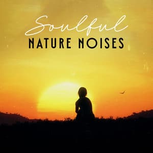 Soulful Nature Noises: Blissful Sounds of Spring for Peaceful Sleep and Meditation - Relaxing Nature Sounds Collection