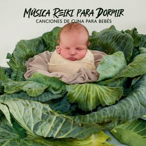 Reiki Descansar - Pat McKenneth