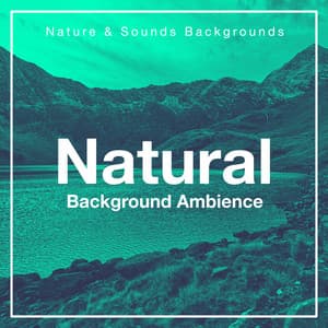 Natural Background Ambience - Nature Sounds & Backgrounds