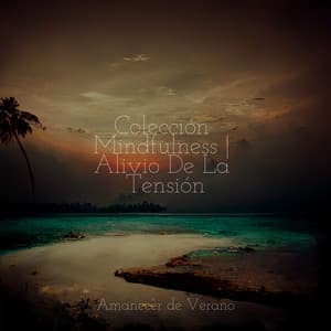 Colección Mindfulness | Alivio De La Tensión - Guided Meditation