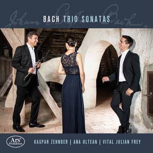 J.S. Bach, C.P.E. Bach & Goldberg: Chamber Works - Ana Oltean