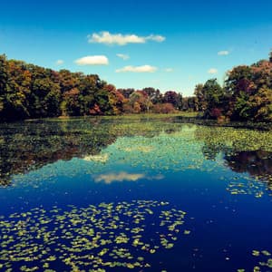 Meditative Euphony: River's Inner Dialogues - Relaxing Mindfulness Meditation Relaxation Maestro