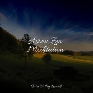 Asian Zen Meditation - Ambient Music Therpy