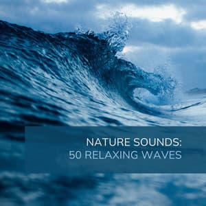 Nature Sounds: 50 Relaxing Waves - Ocean Sounds