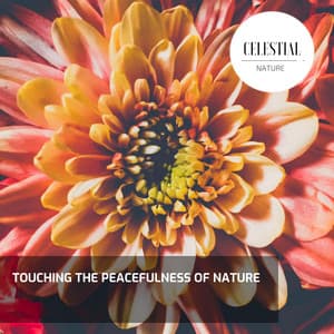 Touching the Peacefulness of Nature - Nature Radiance