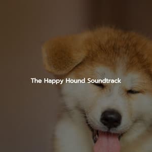 The Happy Hound Soundtrack - Afternoon Chill Out Playlist
