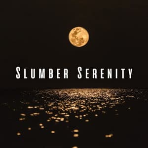 Slumber Serenity: Gentle Lofi Sounds for Sleep - Lo-fi Pop Sounds