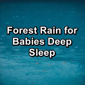 Forest Rain for Babies Deep Sleep - Deep Sleep Music Experience