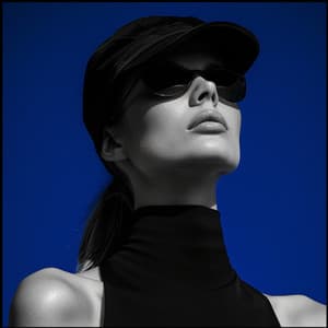 Sunset Silhouettes: a Downtempo Journey - Buddha Lounge