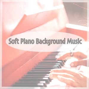 Soft Piano Background Music - Classical Chillout Radio