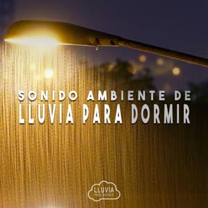 Sonido Ambiente de Lluvia para Dormir - Lluvia para Dormir