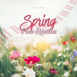 Spring Piano Reflections - Luminous Piano Reflections