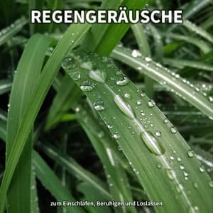 Regengeräusche zum Einschlafen, Beruhigen und Loslassen - Regengeräusche