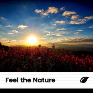 Feel the Nature - The Forest Escape
