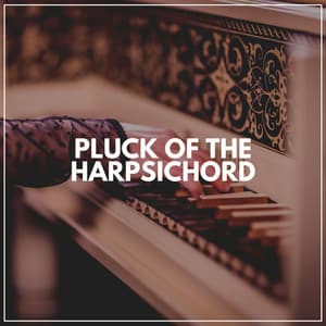 Pluck of the Harpsichord - Piano Sleep