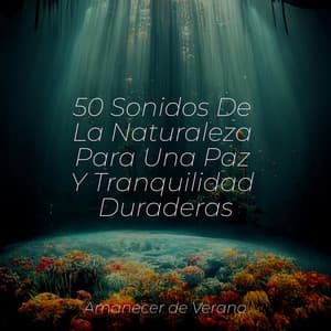 50 Sonidos De La Naturaleza Para Una Paz Y Tranquilidad Duraderas - Sleep Baby Sleep
