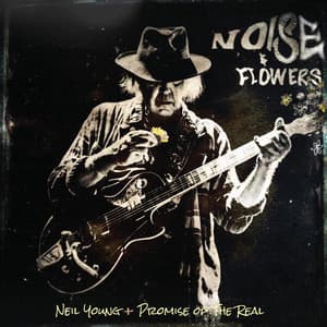 Noise and Flowers - Neil Young