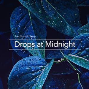 Drops at Midnight - Rain Sounds Sleep