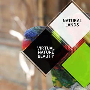 Virtual Nature Beauty - Natural Lands - Sleepy Times