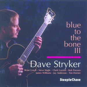 Blue to the Bone III - Dave Stryker