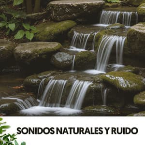 Sonidos Naturales y Ruido: Symphony of Serenity - Ruido Blanco Hart