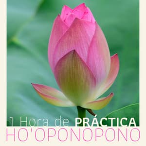 1 Hora de Práctica Ho'oponopono - Meditación del Perdón y Sanación - Meditación Maestro