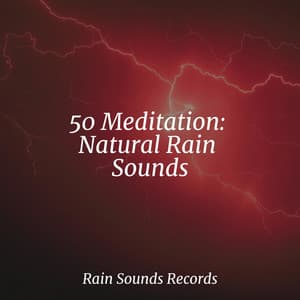 50 Meditation: Natural Rain Sounds - Sounds of Nature Relaxation