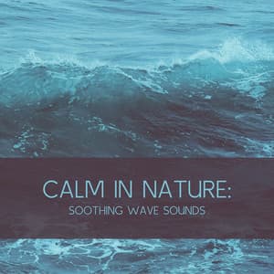 Calm in Nature: Soothing Wave sounds - Ocean Sounds