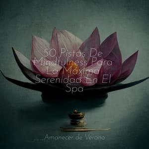 50 Pistas De Mindfulness Para La Máxima Serenidad En El Spa - Meditación Maestro