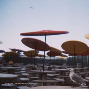 Mit Kanonen auf Spatzen schießen - Hulk Hodn