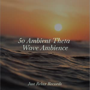 50 Ambient Theta Wave Ambience - Lounge Music Café