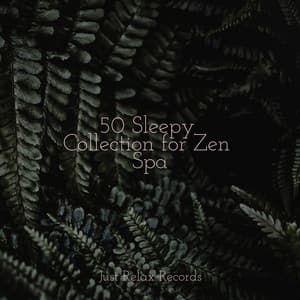 50 Sleepy Collection for Zen Spa - Lucid Dreaming World-Collective Unconscious Mind