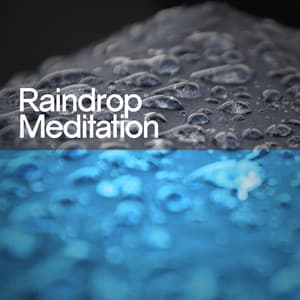 Raindrop Meditation - Rain Meditation
