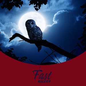 Fast Asleep 💤 - Deep Sleep System