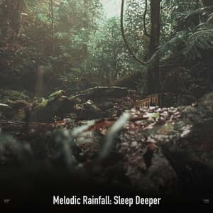 !!!!" Melodic Rainfall: Sleep Deeper "!!!! - Sonidos De Truenos y Lluvia